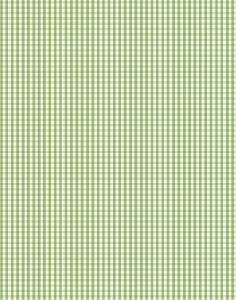 a|s cardstock - gingham grass