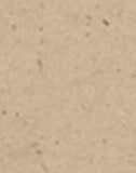 a|s cardstock - kraft