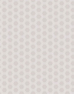 a|s cardstock - petite hexagon pebble