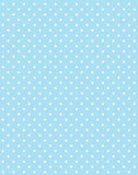 a|s cardstock - spring fling collection