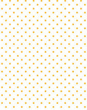 a|s cardstock - spring fling collection