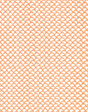 a|s cardstock - scallops assortment