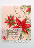 poinsettia