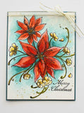 poinsettia