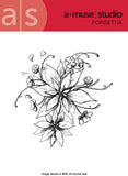 poinsettia