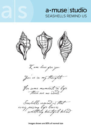 seashells remind us